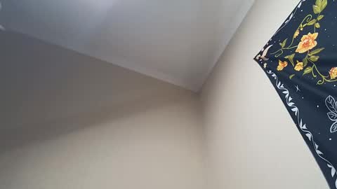 Snapshot of l_adonis_l chatting on February 28, 4:32 am Adonis online show from February 28, 4:32 am