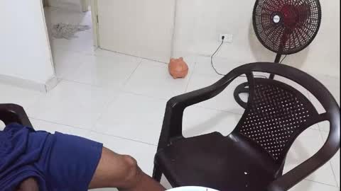 Bruno Smith online show from June 2, 4:14 am