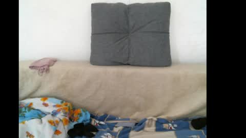 Snapshot of lady_cute_cat chatting on May 16, 10:36 am lady cute cat29 online show from May 16, 10:36 am