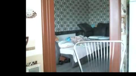 lady cute cat29 online show from June 23, 2:53 am
