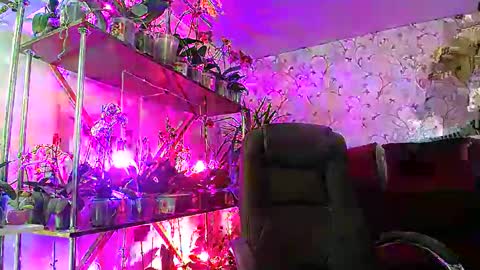 Lady Gloria online show from February 22, 8:40 am