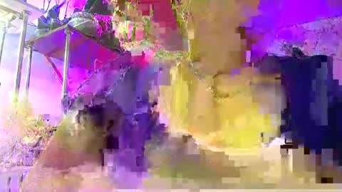 Lady Gloria online show from January 7, 6:05 am