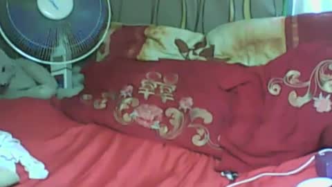 LadyXSnakes online show from January 21, 8:19 am