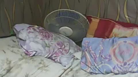 LadyXSnakes online show from February 7, 6:24 pm