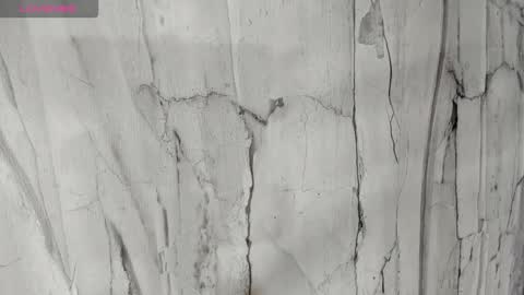 Snapshot of laiilybell chatting on November 24, 1:00 pm laiily bell online show from November 24, 1:00 pm