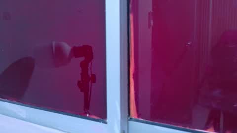 Laura online show from November 25, 12:05 pm