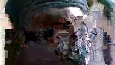 joseph online show from March 16, 1:04 pm