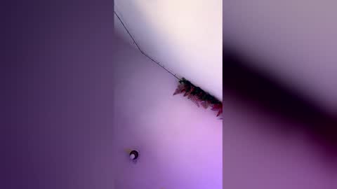 latin_bigcock21cm online show from March 4, 7:58 am