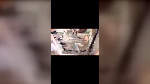 Snapshot of latinbulldaddy88036 chatting on March 9, 9:08 pm latinbulldaddy88036 online show from March 9, 9:08 pm