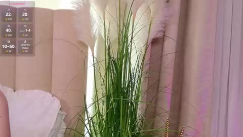 Snapshot of layla_bloom chatting on January 31, 7:11 pm Your sweet girl-next-door online show from January 31, 7:11 pm