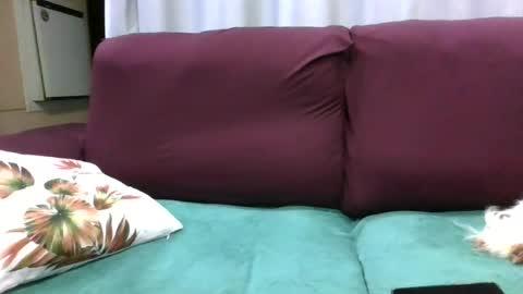 Snapshot of laylabrasil chatting on July 28, 8:52 pm kelly online show from July 28, 8:52 pm