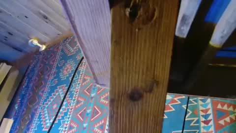 Snapshot of lefrancais33000 chatting on December 19, 5:50 pm Dliciousman online show from December 19, 5:50 pm