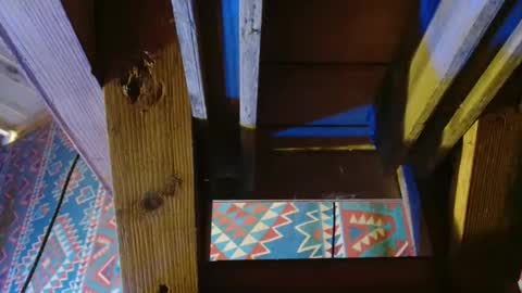 Snapshot of lefrancais33000 chatting on December 19, 8:55 pm Dliciousman online show from December 19, 8:55 pm