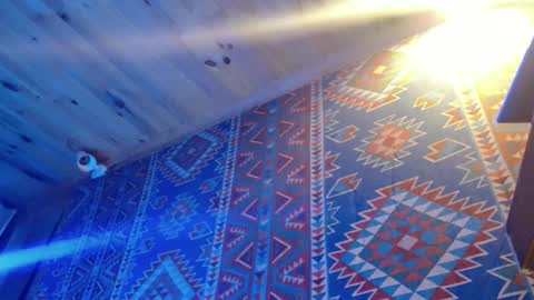 Snapshot of lefrancais33000 chatting on February 20, 10:37 pm Dliciousman online show from February 20, 10:37 pm