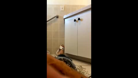 legal4 online show from March 9, 6:12 pm