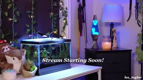 Lex online show from February 18, 4:37 pm