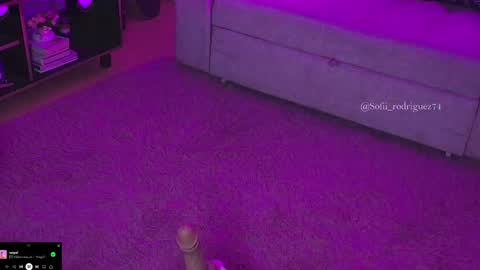 Snapshot of liaa_rodriguezz chatting on February 19, 2:55 am Liaa  online show from February 19, 2:55 am