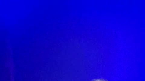 Snapshot of lickyouryoni chatting on January 13, 2:21 pm LickYourYoni online show from January 13, 2:21 pm