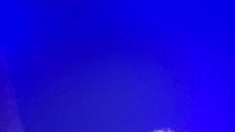 Snapshot of lickyouryoni chatting on March 3, 2:48 pm LickYourYoni online show from March 3, 2:48 pm