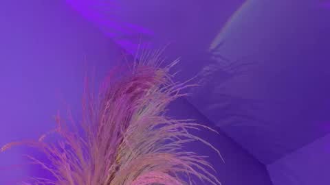 Liiam Luna online show from January 7, 12:40 pm