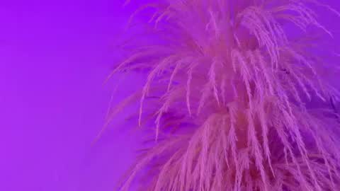 Snapshot of liiamluna chatting on May 6, 11:04 am Liiam Luna online show from May 6, 11:04 am