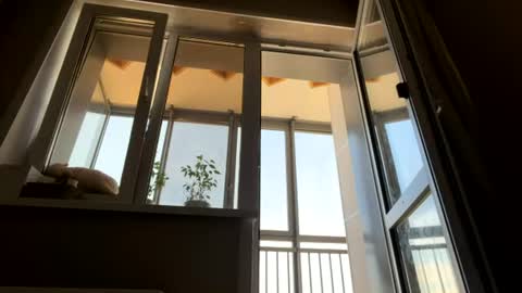 Snapshot of liissa207673 chatting on July 7, 7:23 am liissa207673 online show from July 7, 7:23 am