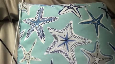 Snapshot of likefhot chatting on November 17, 5:02 am likefhot online show from November 17, 5:02 am