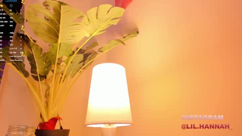 Hanna online show from December 23, 3:01 pm