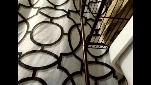 lilcalvo1 online show from March 18, 9:34 am