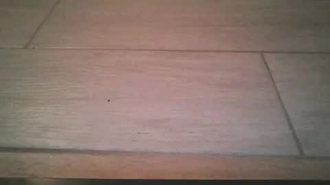 Snapshot of lildicksissy chatting on November 22, 11:59 pm lildicksissy online show from November 22, 11:59 pm