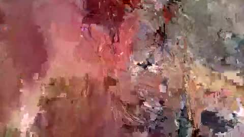 Snapshot of lili_tt chatting on October 23, 9:13 pm lili online show from October 23, 9:13 pm