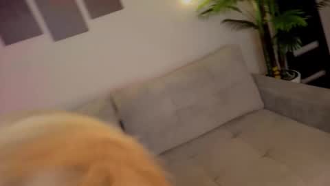 lililok101 online show from October 17, 2:04 am