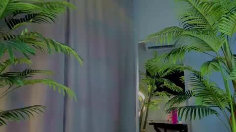 lililok101 online show from November 19, 2:22 am