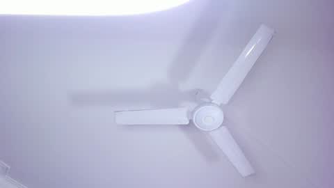 Lili  Marcus online show from January 4, 10:24 pm