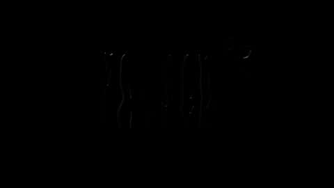 lilpresident online show from January 23, 7:51 pm