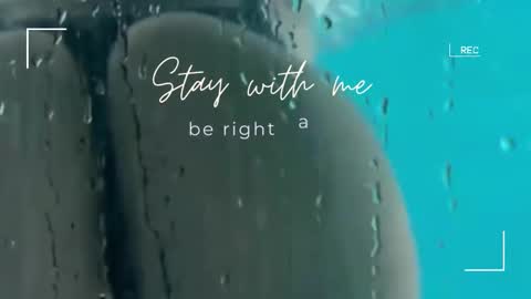 Lily online show from November 9, 6:33 am