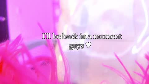 linda miller online show from January 24, 7:51 am