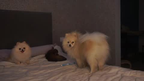 Snapshot of lindaaii chatting on May 5, 1:30 pm Linda online show from May 5, 1:30 pm