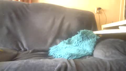 lion160868 online show from February 3, 10:14 am