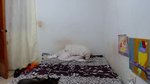 lion_grr online show from December 16, 2:16 am