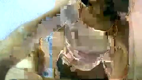 Snapshot of liora_selene chatting on March 11, 6:53 am liora online show from March 11, 6:53 am