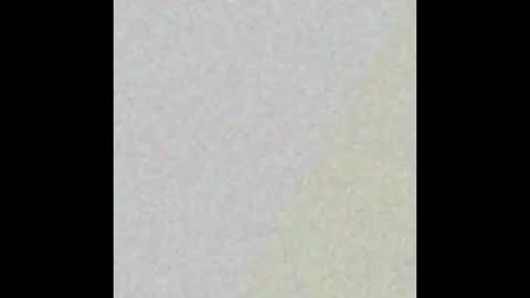 liquid_sky_ online show from September 27, 10:20 am