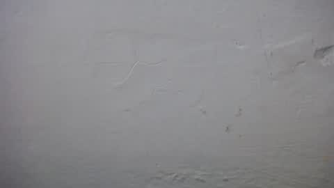 lisa_branch online show from November 23, 10:37 am