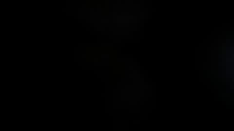 Lisa  online show from November 23, 11:54 am