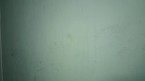 Snapshot of lisa_joseph chatting on April 4, 2:03 pm lisa online show from April 4, 2:03 pm