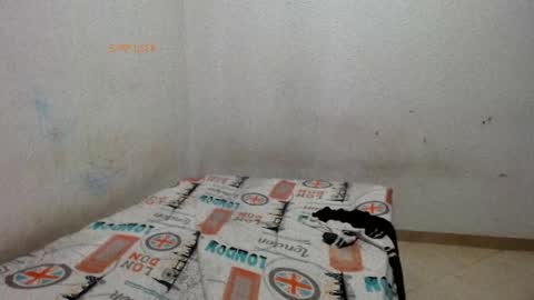 Snapshot of little__scarlet chatting on May 29, 2:37 pm little__scarlet online show from May 29, 2:37 pm