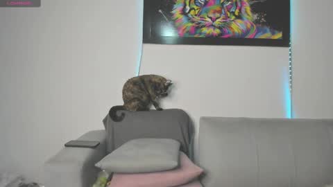 Snapshot of little_caro13 chatting on March 11, 9:26 pm Independent model carolina online show from March 11, 9:26 pm