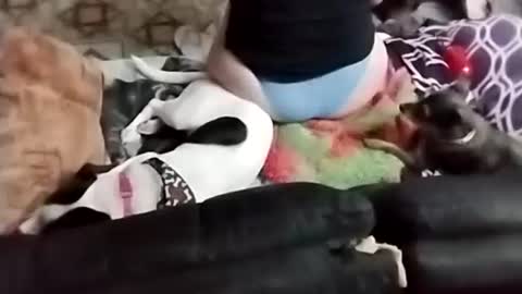 Snapshot of littlebigsquirt7945 chatting on September 22, 2:24 am Sady Jayne online show from September 22, 2:24 am