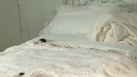 Audra A online show from February 1, 11:16 pm