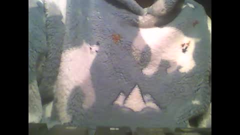 LittlePaul online show from February 14, 9:10 pm